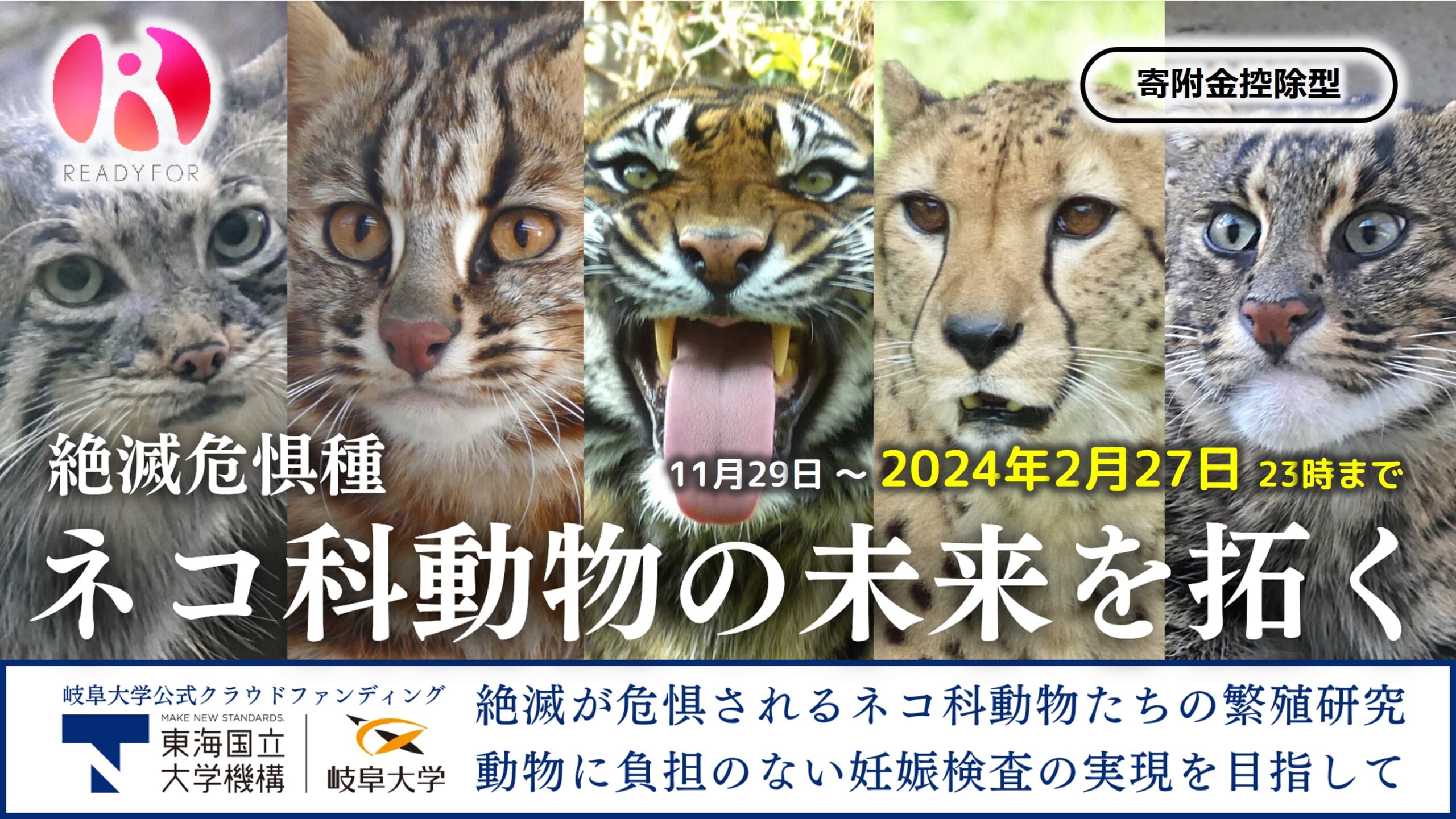 ファイナリストのZOOREPLABがクラウドファンディング実施中です